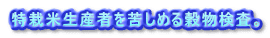 ͕ĐY҂ꂵ߂鍒B