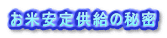 Ĉ苟̔閧