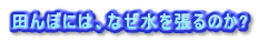 cڂɂ́AȂ𒣂̂?