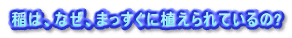 ́AȂA܂ɐAĂ?
