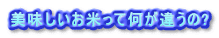 ĂĉႤ?