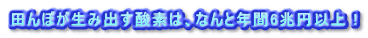 cڂݏo_f́AȂƔN6~ȏ !